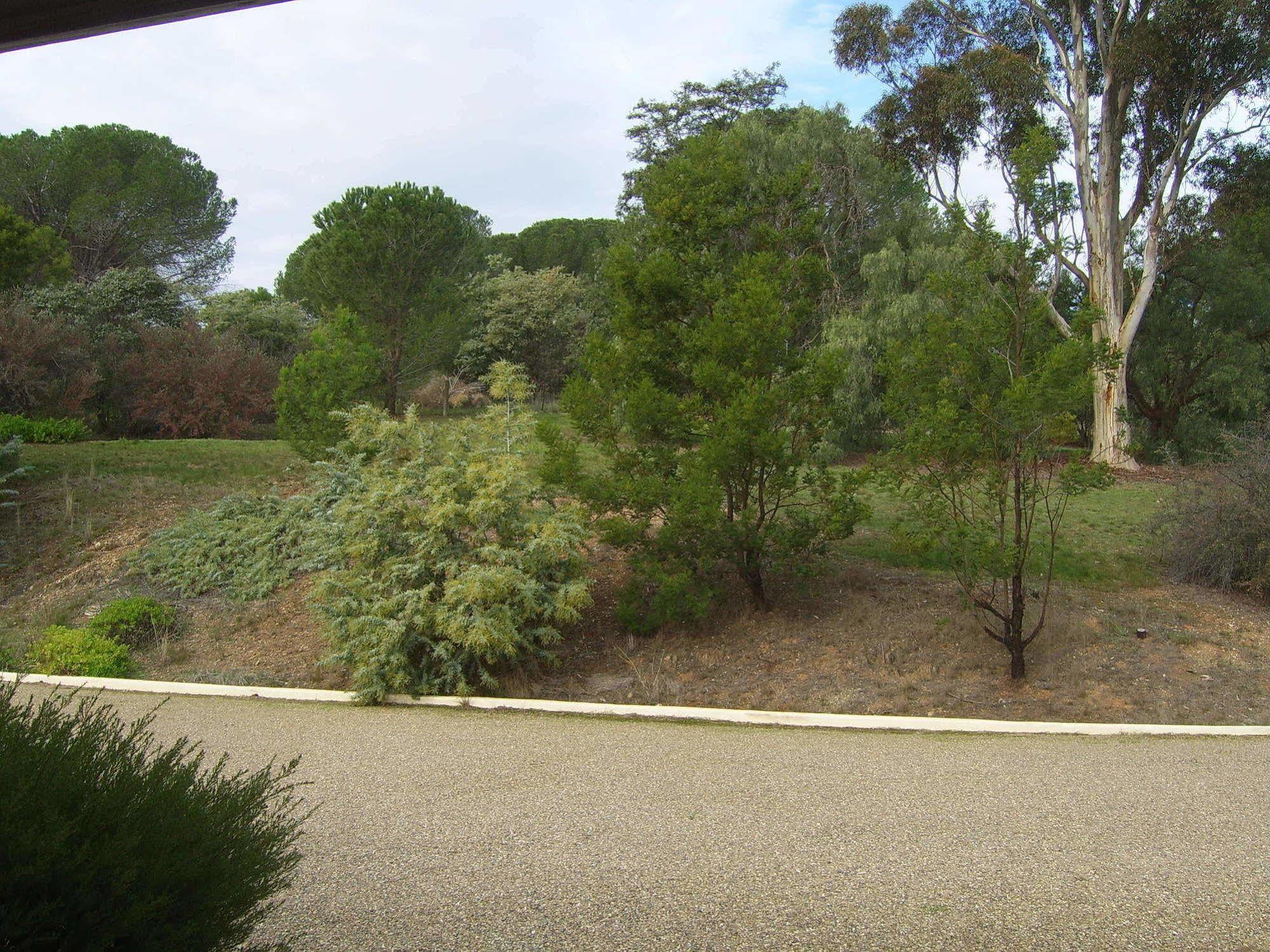 Garden Motor Inn Gundagai Exterior foto